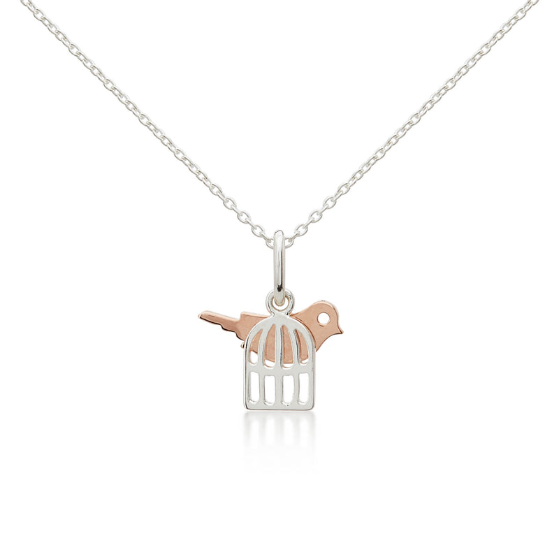 A Sterling Silver cage necklace with a rose gold bird sitting on top. A necklace for girls and teens to wear